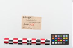 Etiketten zu Bronzekugelkopfnadel (NHMW-PRAE-024149)